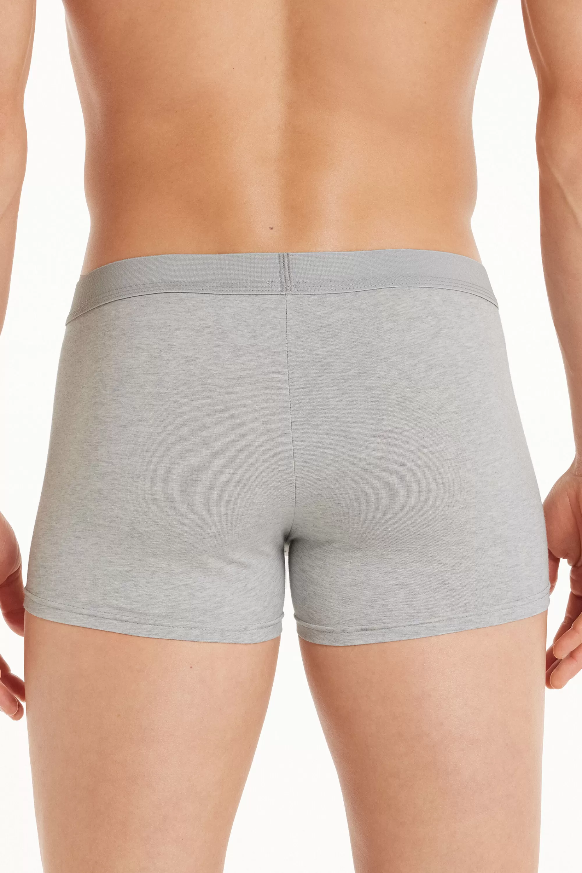Store Boxer In Cotone Elasticizzato - Boxer - Uomo | Boxer